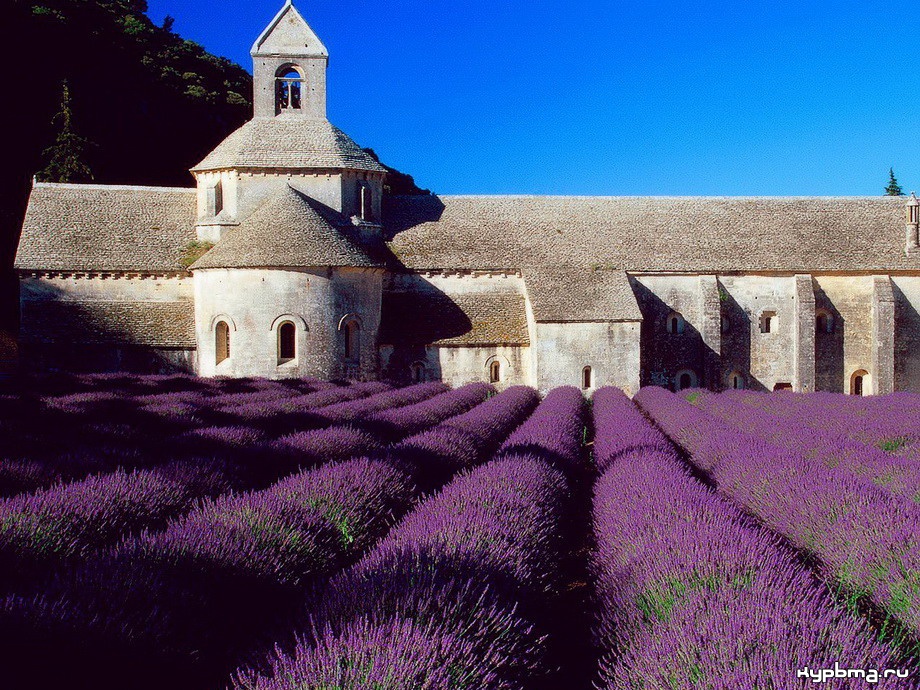 france-3